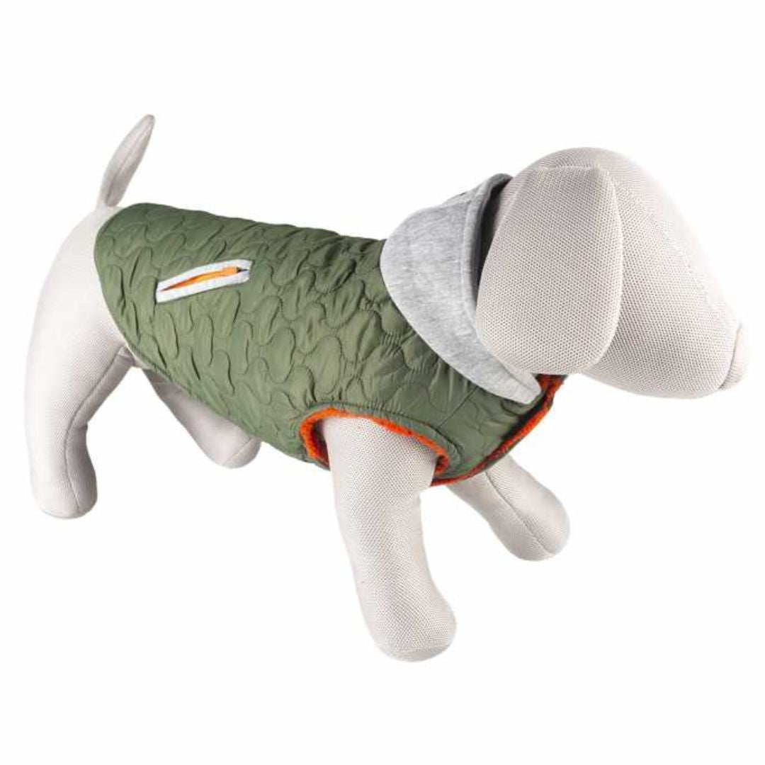 Duvo+ Urban Dog Jacket Green – XL 70cm