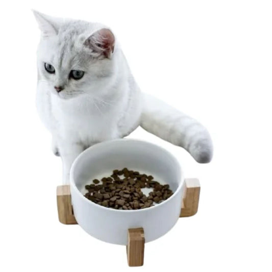 Petbroo White Ceramic Bowl For Pets Small - 12cm