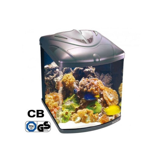 Boyu Zumbo Aquarium 510Lx570Wx670Hmm -(128L)