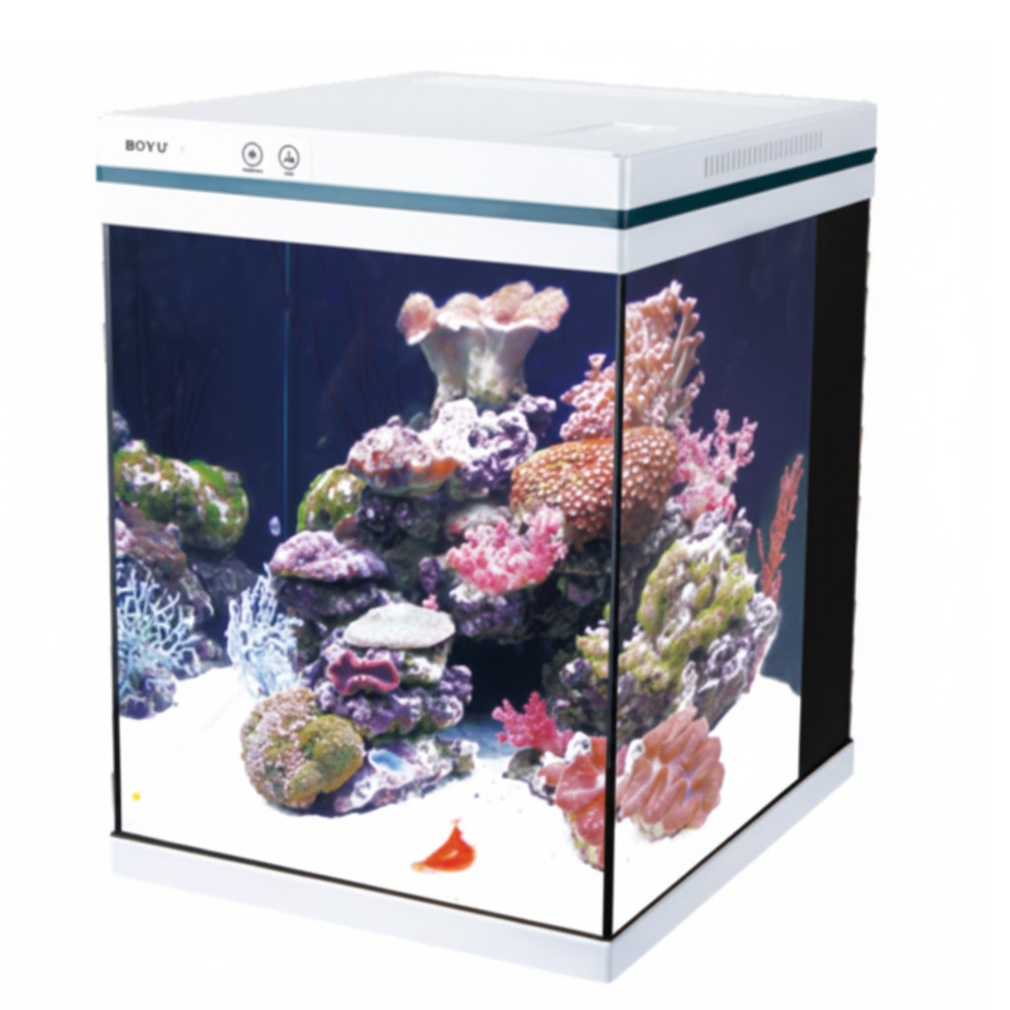 Boyu Salt Water Aquarium - 401x312x373mm