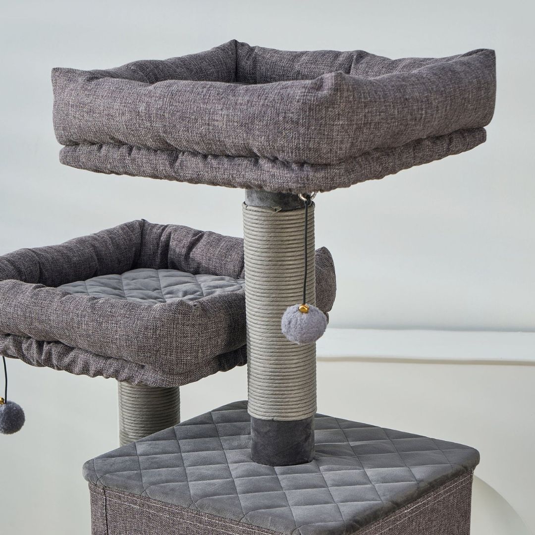 Catry Xxl