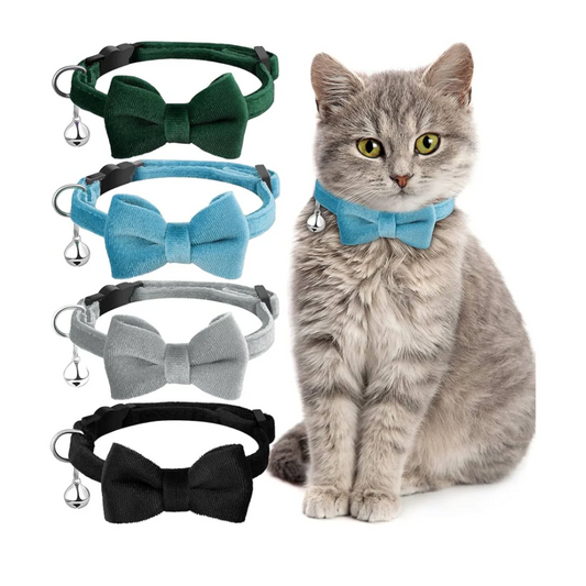 Petbroo Cat Bow Collar - (Small)