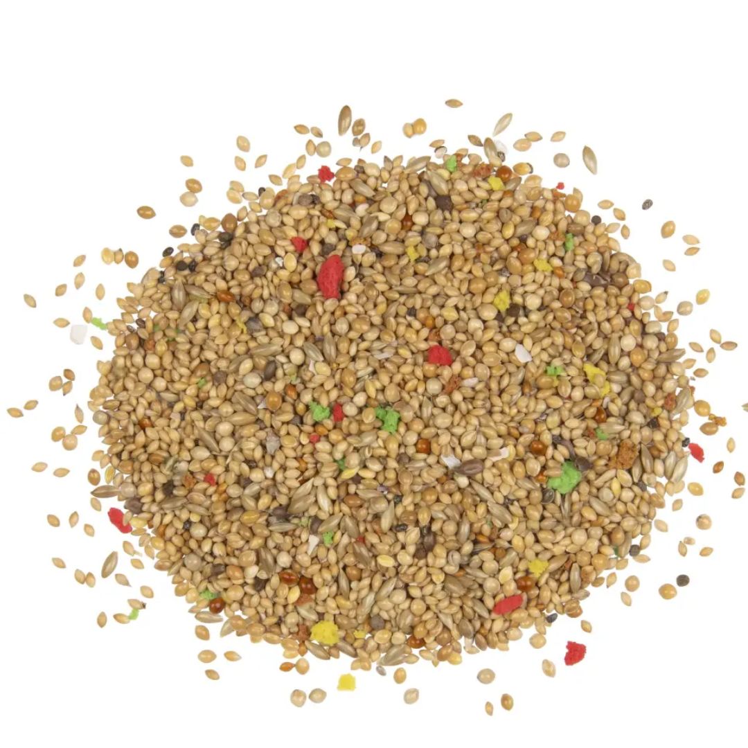 Witte Molen Country Budgie Food – 2.5Kg Balanced Mix