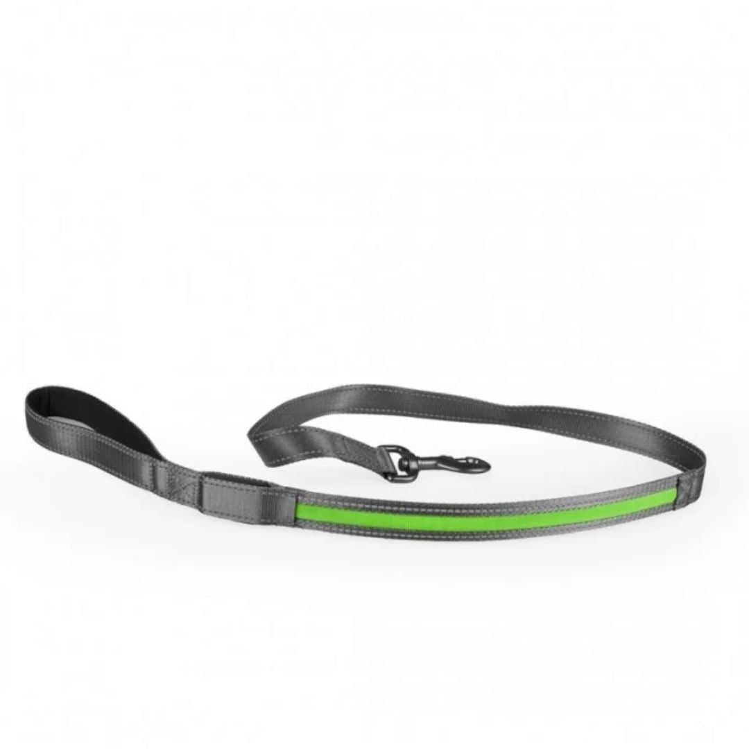 Duvo+ Metal Leiband Flash Light USB Nylon Leash – Durable Dog Lead 120cm x 25mm – Green
