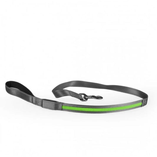 Duvo+ Metal Leiband Flash Light USB Nylon Leash – Durable Dog Lead 120cm x 25mm – Green