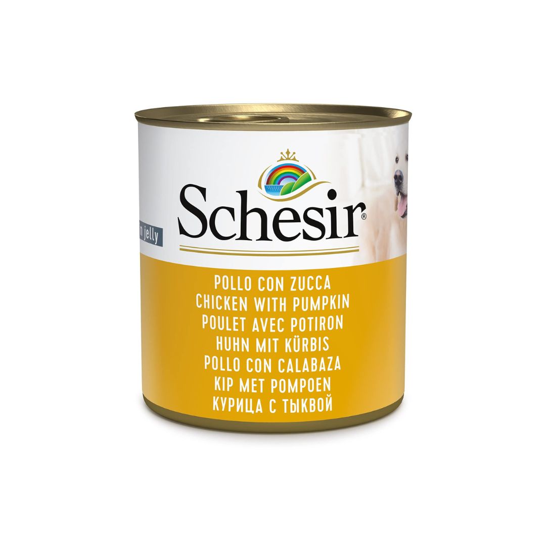 Schesir Dog Wet Food Chicken with Pumpkin 285G
