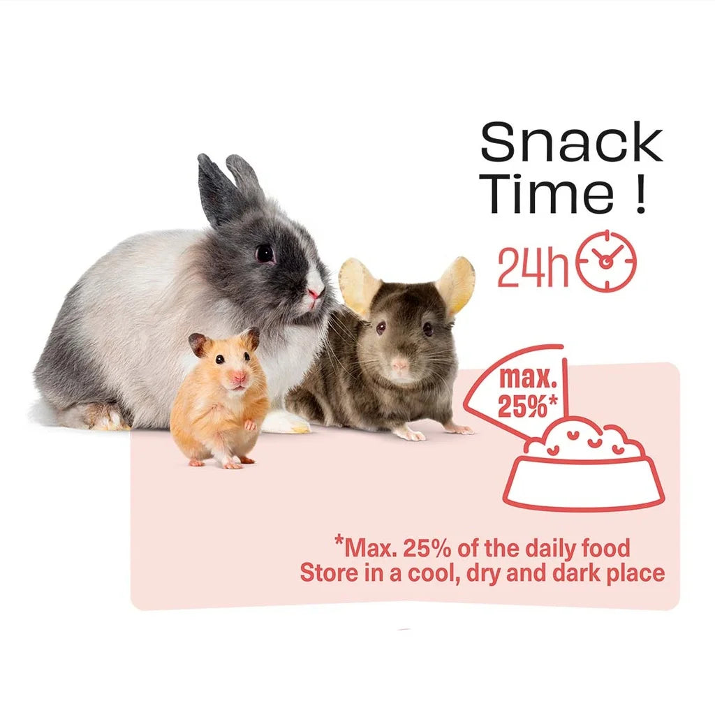 Witte Molen Chew Treat Sticks Apple & Chokeberry for Rabbit & Small Pets - 100g