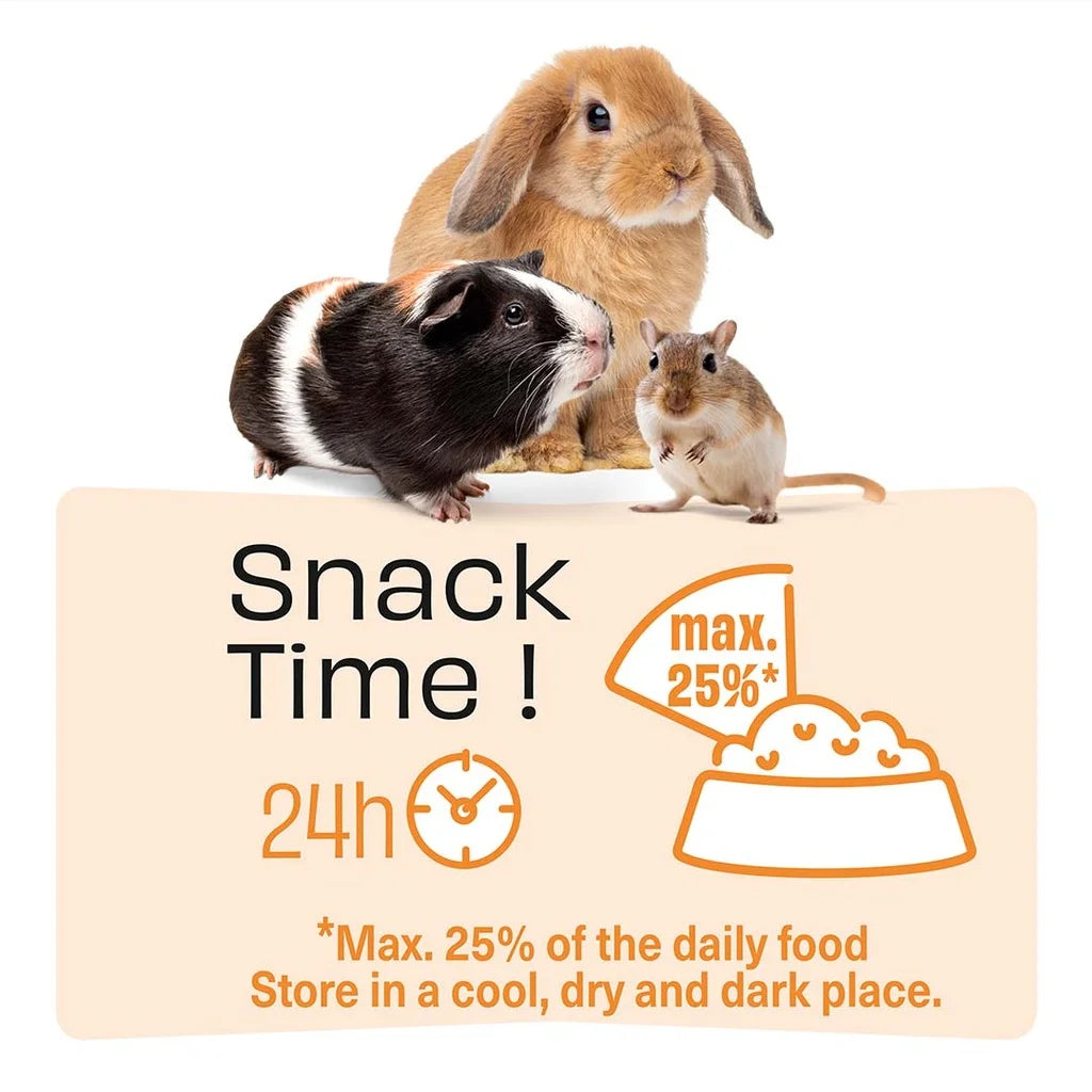 Witte Molen Chew Treat Sticks With Banana & Apple For Rabbit & Small Animals - 180g