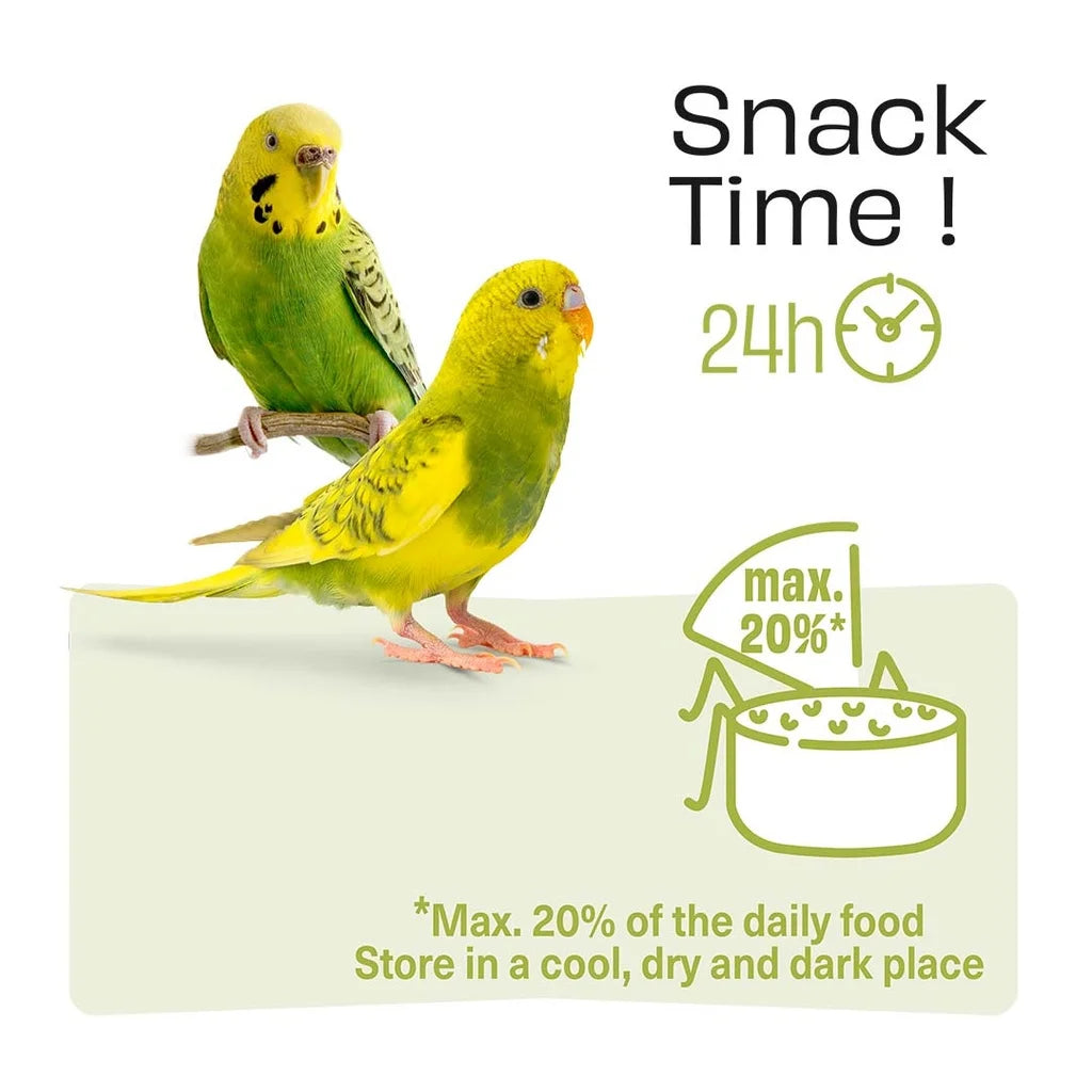 Witte Molen Puur Treat Sticks With Rosehip & Apple for Budgie - 60g
