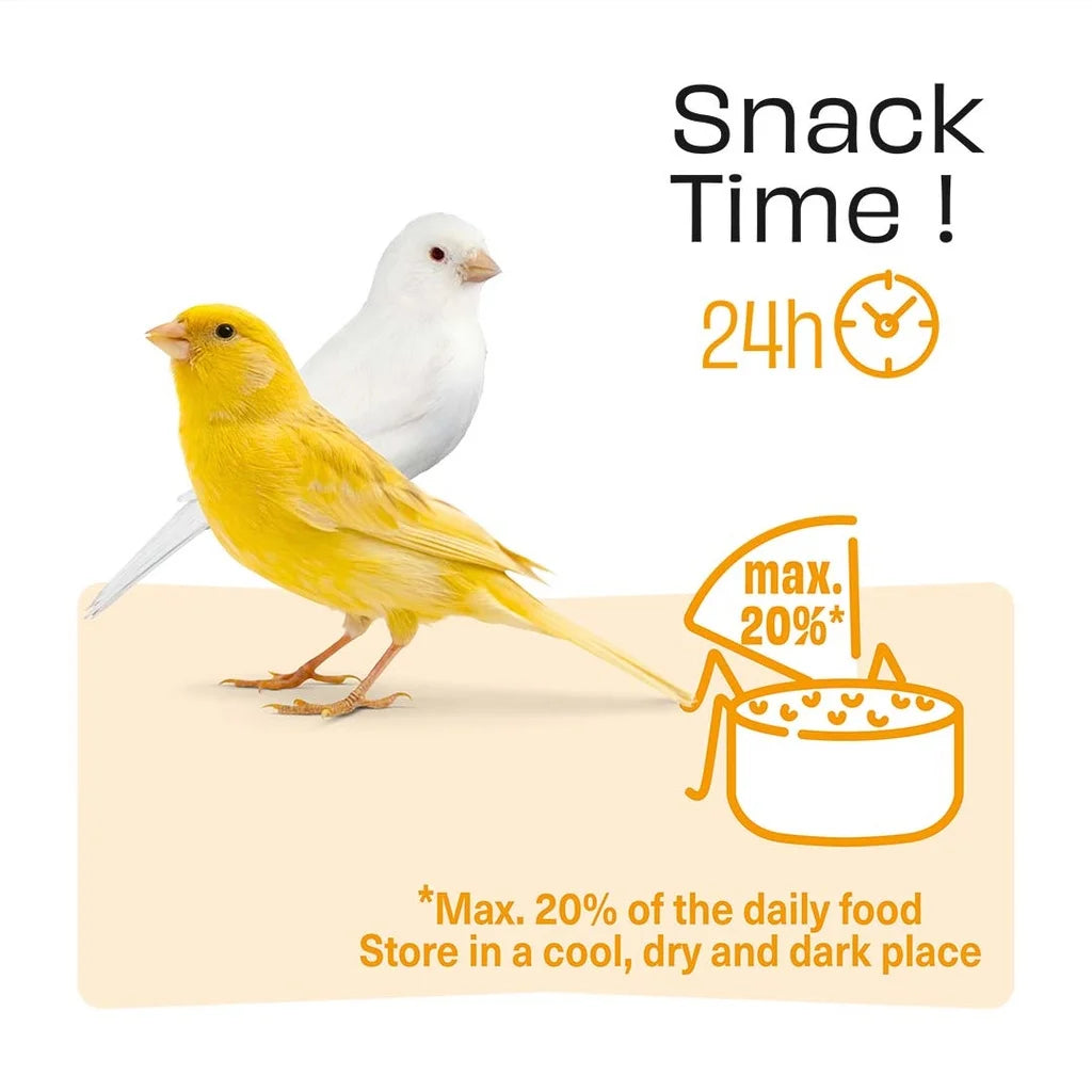 Witte Molen Puur Treat Sticks With Apple & Carrot for Canary - 60g