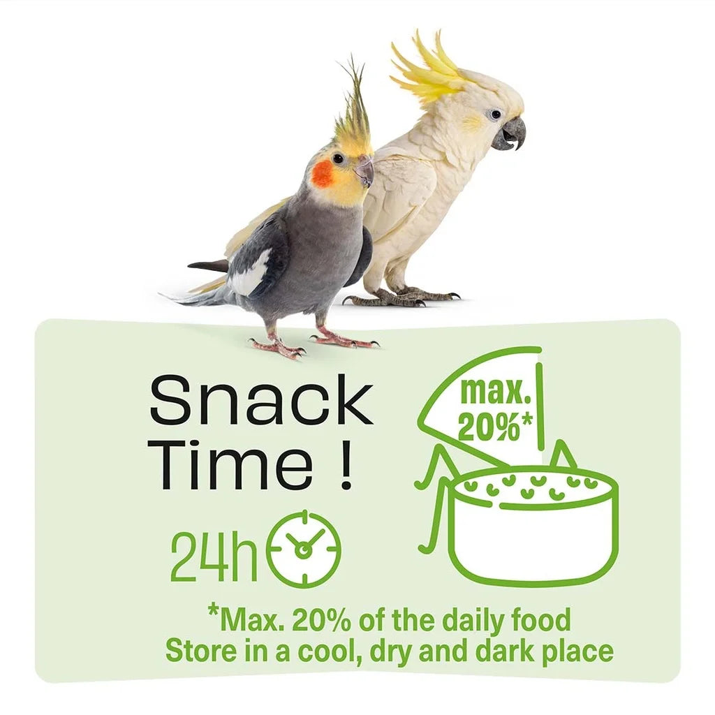 Witte Molen Puur Treat Sticks With Kiwi & Eucalyptus for Large Parakeet - 150g