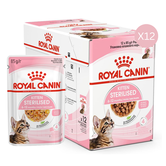 Royal Canin Feline Health Nutrition Kitten Sterilised Jelly Cat Wet Food - 12X85g
