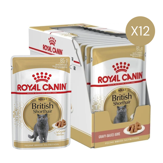 Royal Canin Feline Breed Nutrition British Shorthair Cat Wet Food - 12X85G