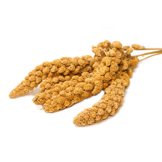 Pado Yellow Millet Sprayweight: 250G