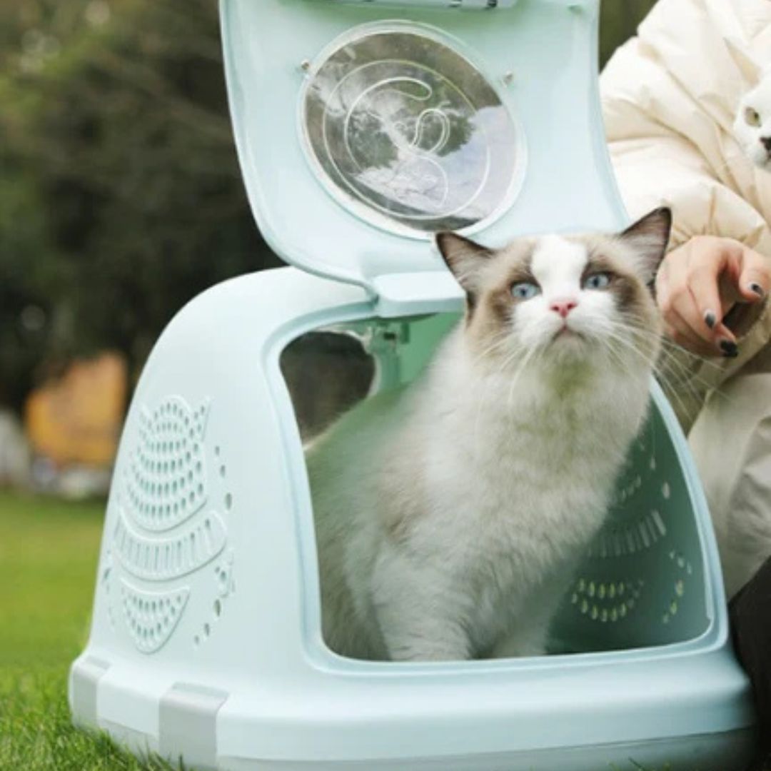 Pado PetPod Pet Carrier 52x35x33cm-Green