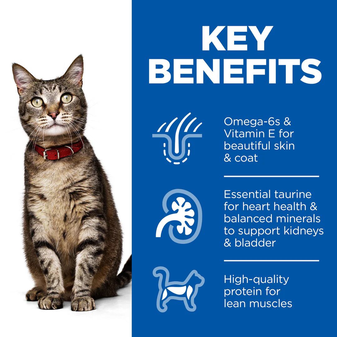 Hills Science Plan Dry Food With Tuna For Adult Cat (1-6)