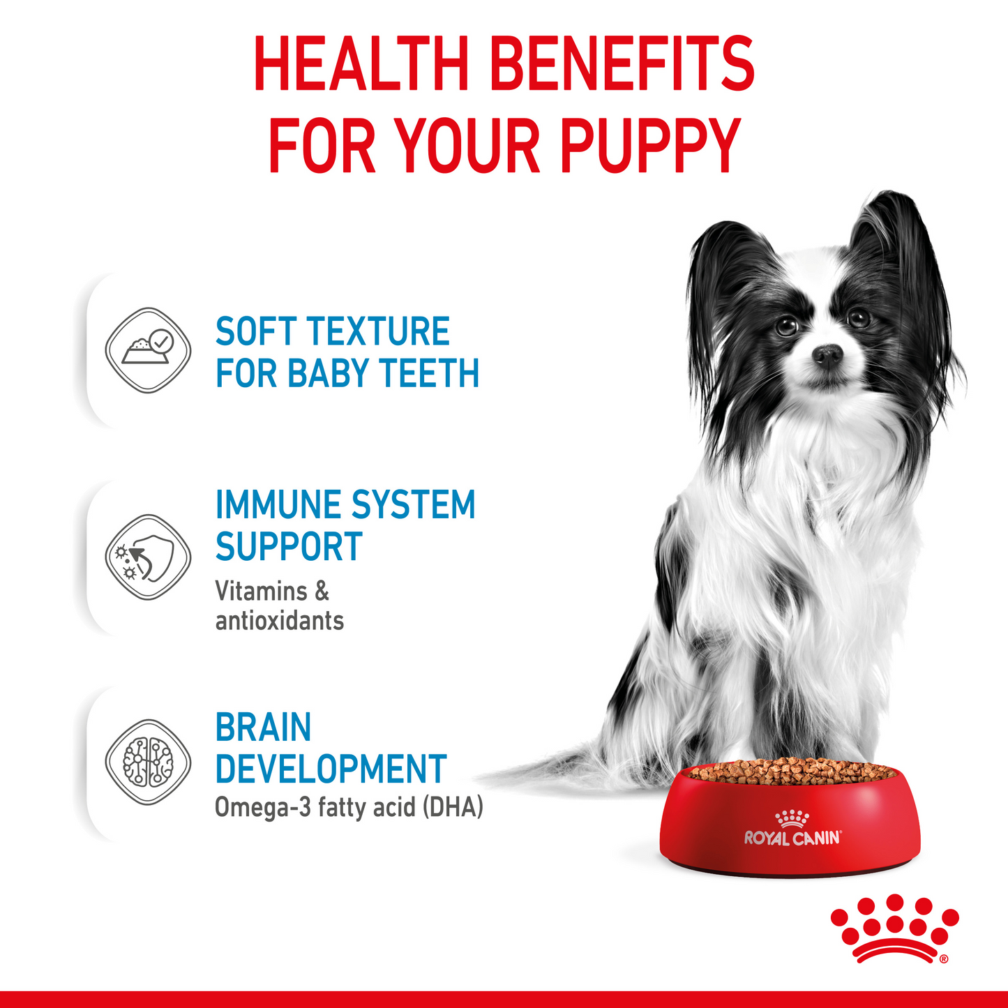 Royal Canin Size Health XS Puppy Dry Dog Food 1.5kg