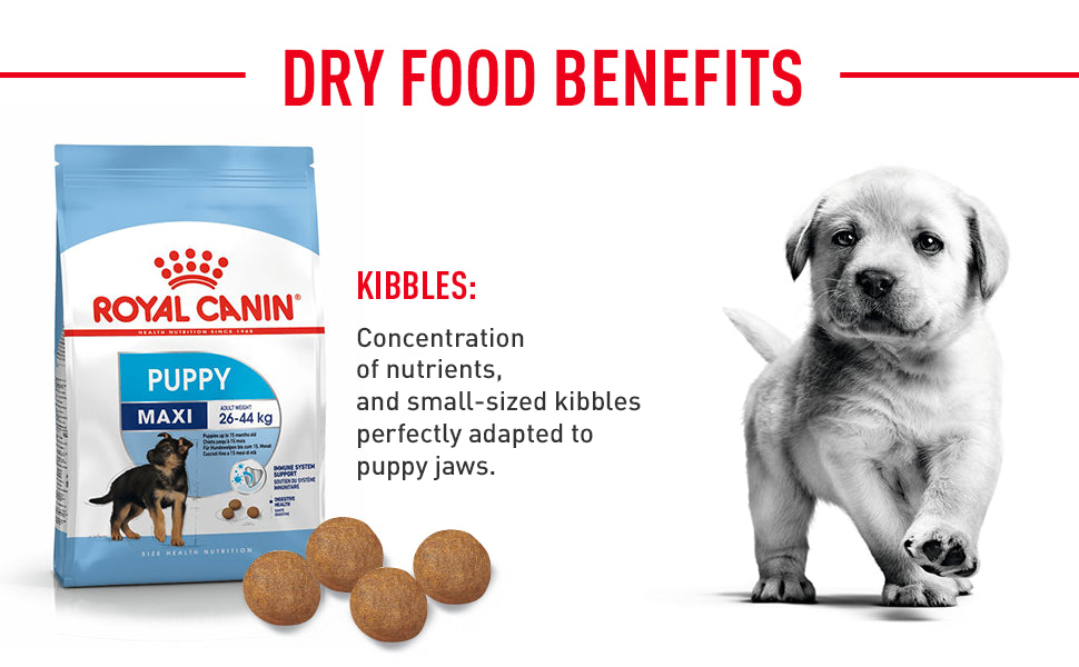 Royal Canin Health Nutrition Maxi Puppy 10 Kg