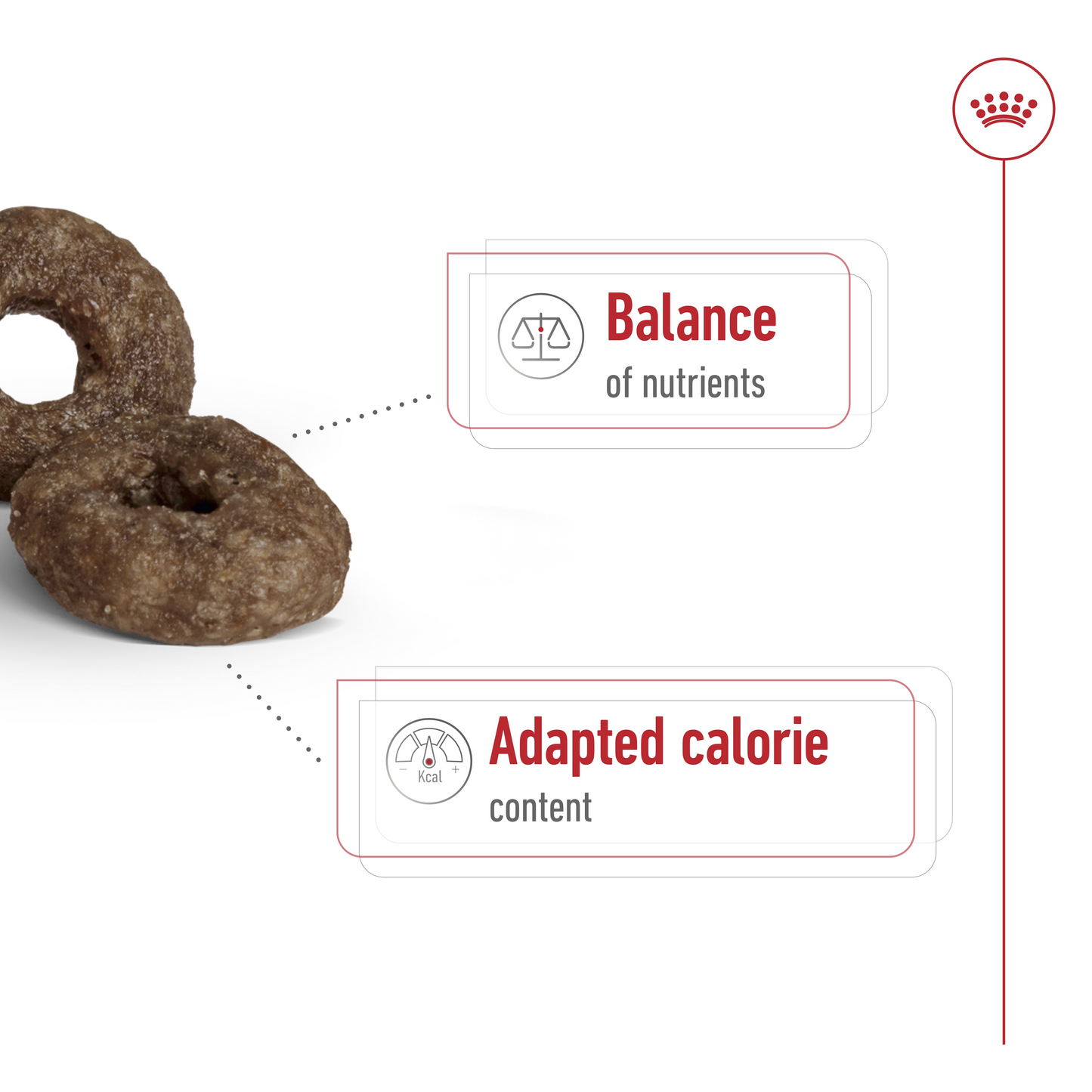 Royal Canin Size Health Mini Ageing 12+Dry Dog Food 1.5kg