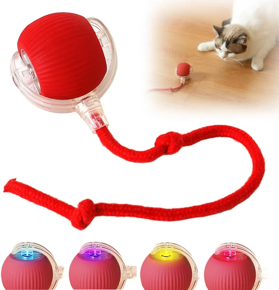 Petbroo Cat Toy Ball Wands Pb22031040