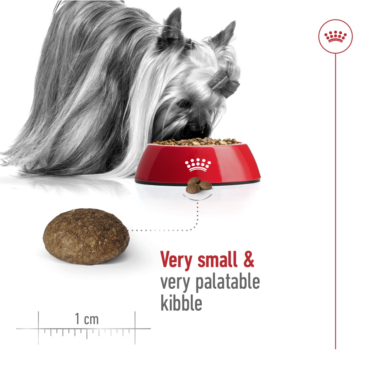 Royal Canin Size Health XS Adult 8+Dry Dog Food 1.5kg