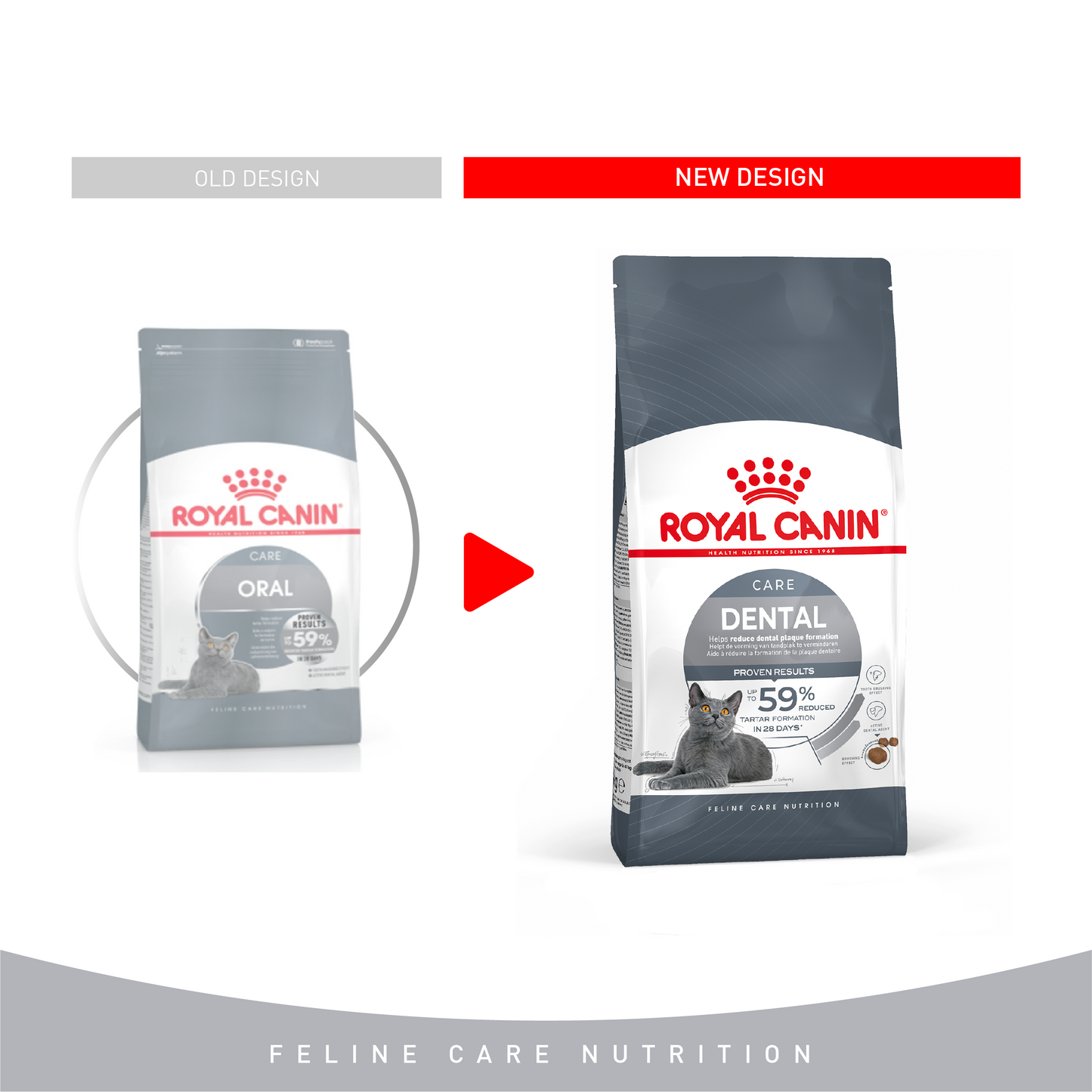 Royal Canin Feline Care Nutrition Dental Care Cat Dry food 1.5kg