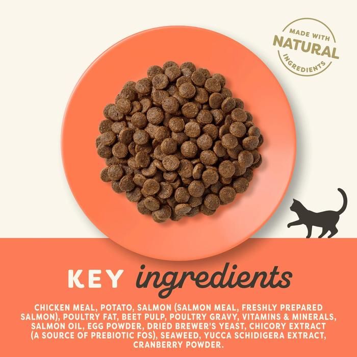 Applaws Cat Chicken & Salmon 2Kg