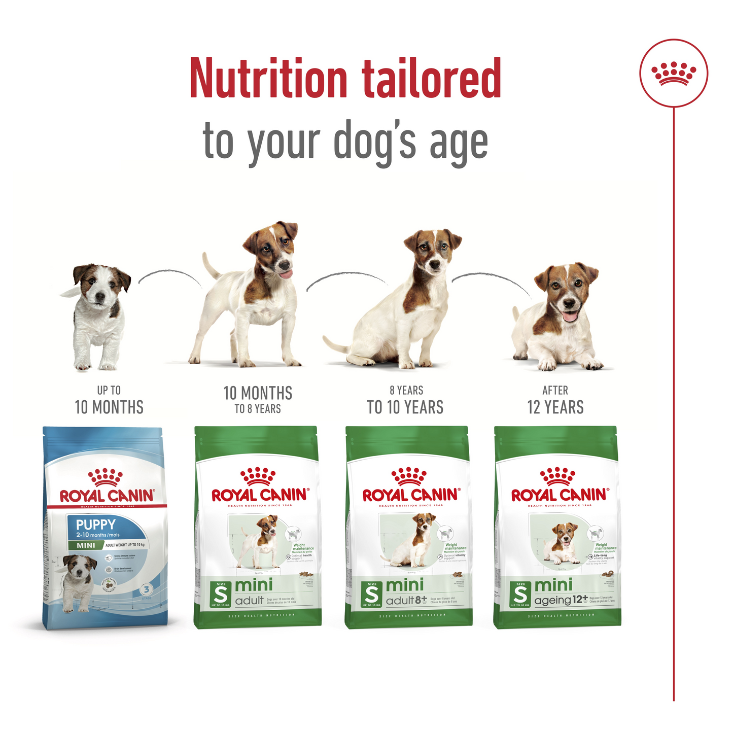Royal Canin Size Health Mini Ageing 12+Dry Dog Food 1.5kg