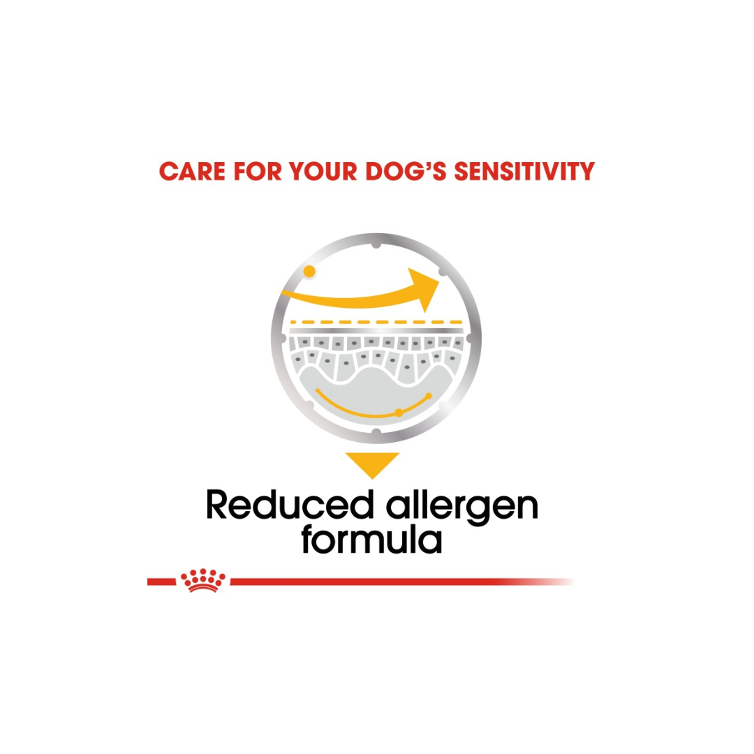 Royal Canin Canine Care Nutrition Dermacomfort (WET FOOD)