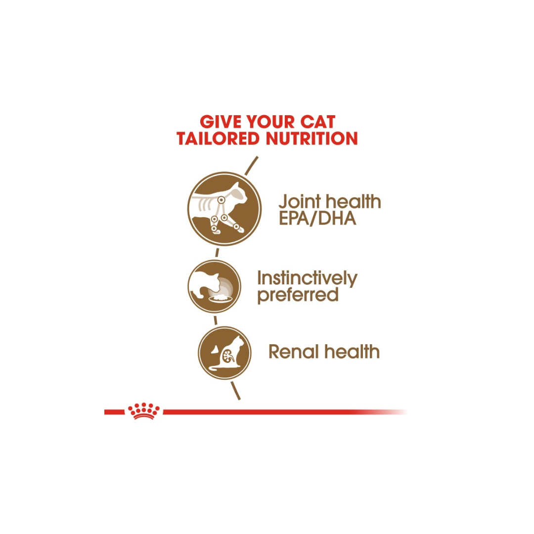 Royal Canin Feline Health Nutrition Ageing 12+ Gravy WET FOOD