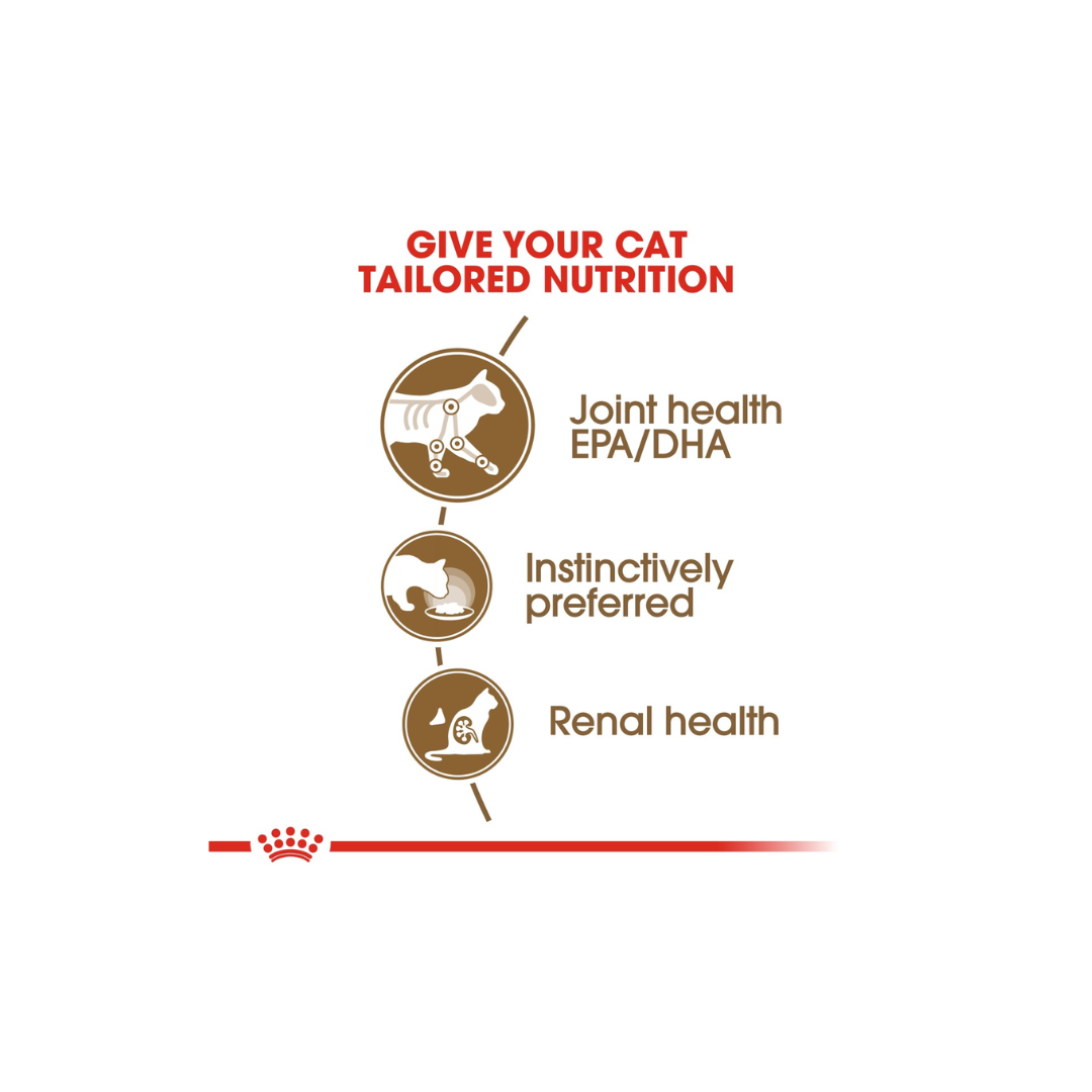 Royal Canin Feline Health Nutrition Ageing 12+ Jelly (WET FOOD)