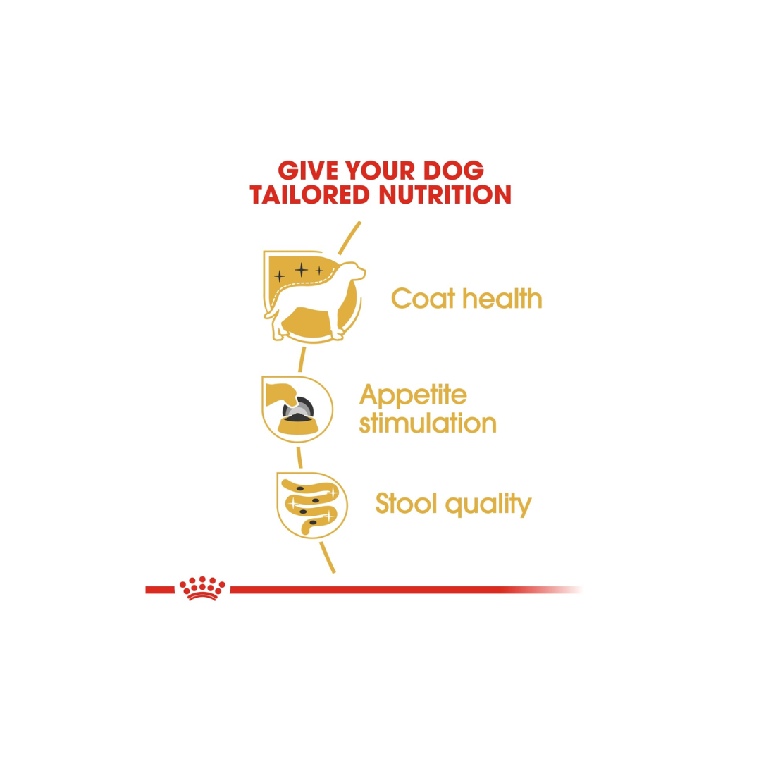 Royal Canin Breed Health Nutrition Yorkshire Adult (WET FOOD)