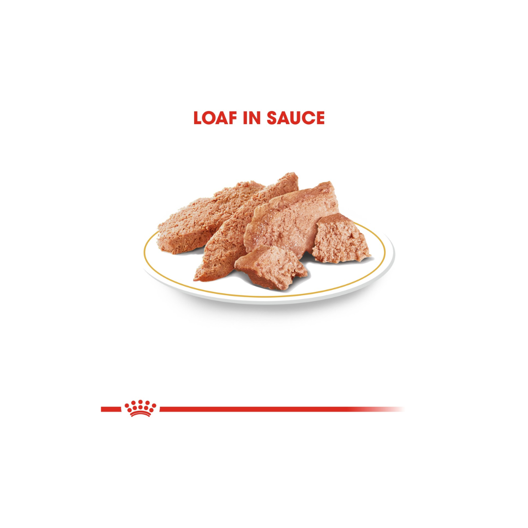 Royal Canin Breed Health Nutrition Yorkshire Adult (WET FOOD)