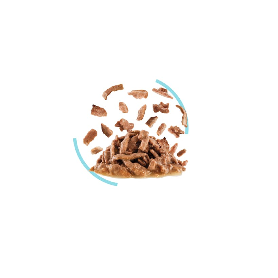 Royal Canin Feline Health Nutrition Sensory Feel Gravy (WET FOOD)