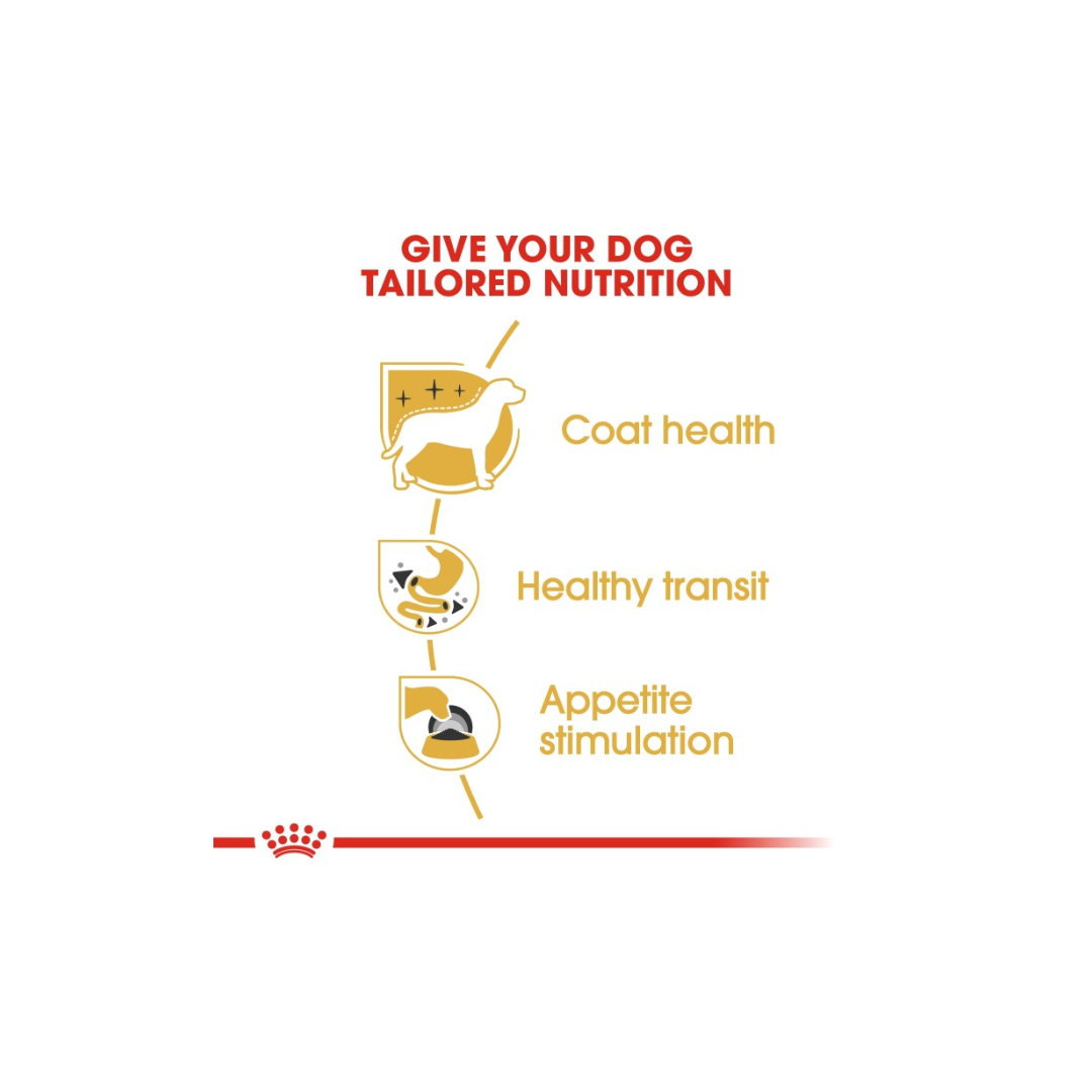 Royal Canin Breed Health Nutrition Chihuahua Adult (WET FOOD)