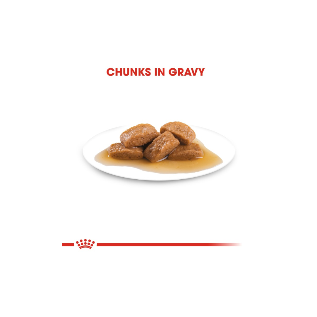 Royal Canin Health Nutrition Maxi Adult (WET FOOD)