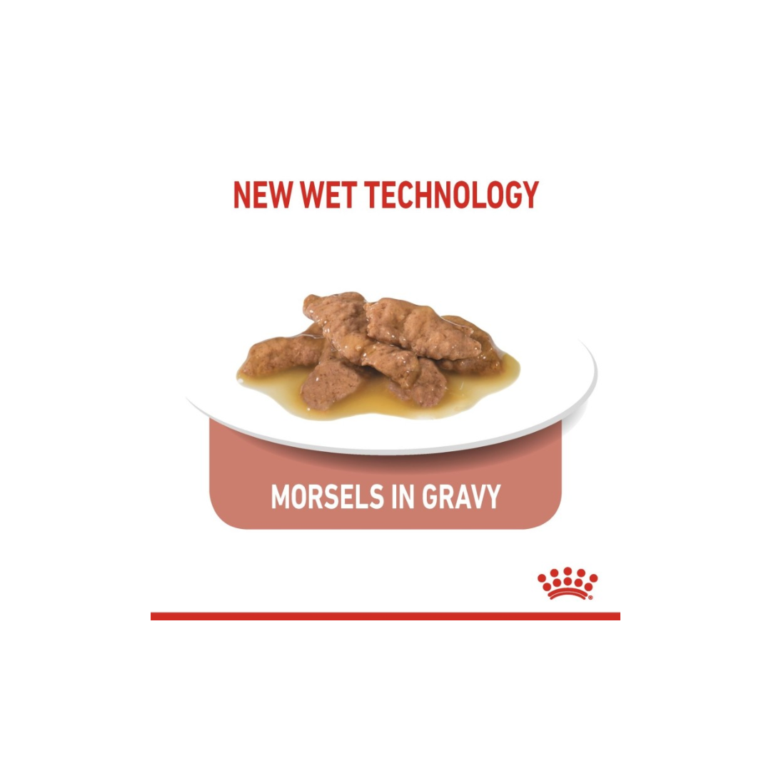 Royal Canin Feline Health Nutrition Indoor Gravy 7+ (WET FOOD )