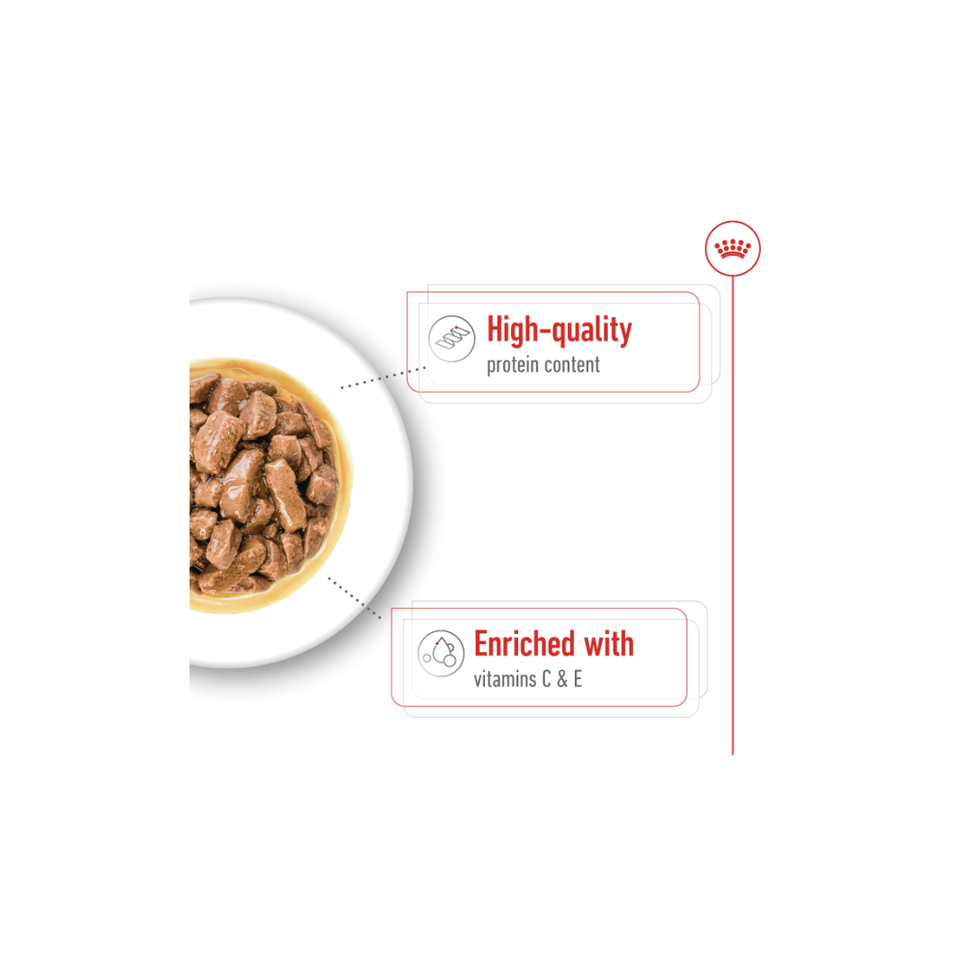 Royal Canin Health Nutrition Medium Adult (WET FOOD)