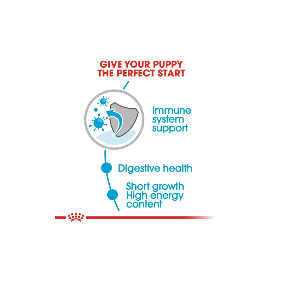 Royal Canin Health Nutrition Medium Puppy (WET FOOD)