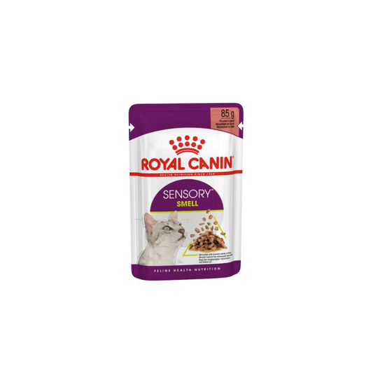 Royal Canin Feline Health Nutrition Sensory Smell Gravy (WET FOOD )