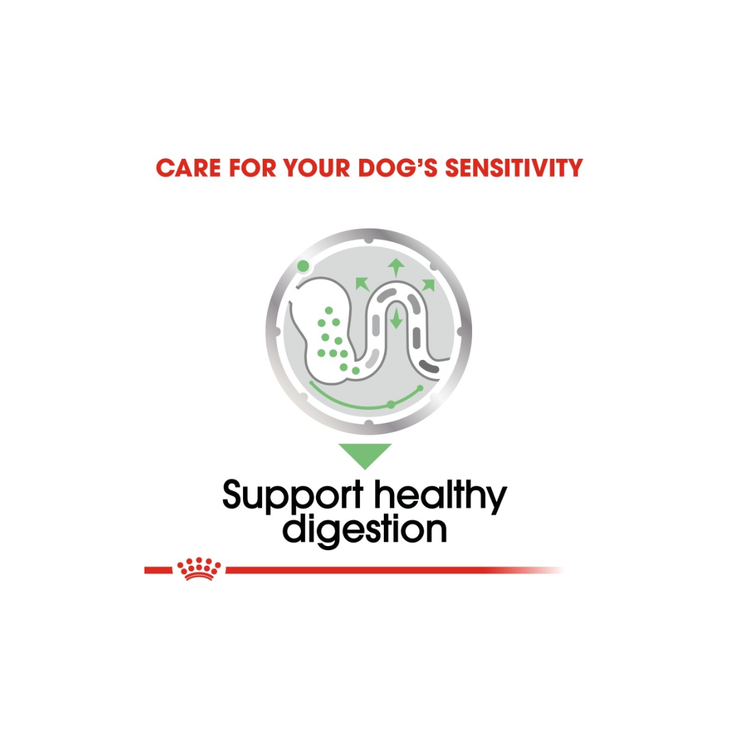 Royal Canin Canine Care Nutrition Digestive Care (WET FOOD)