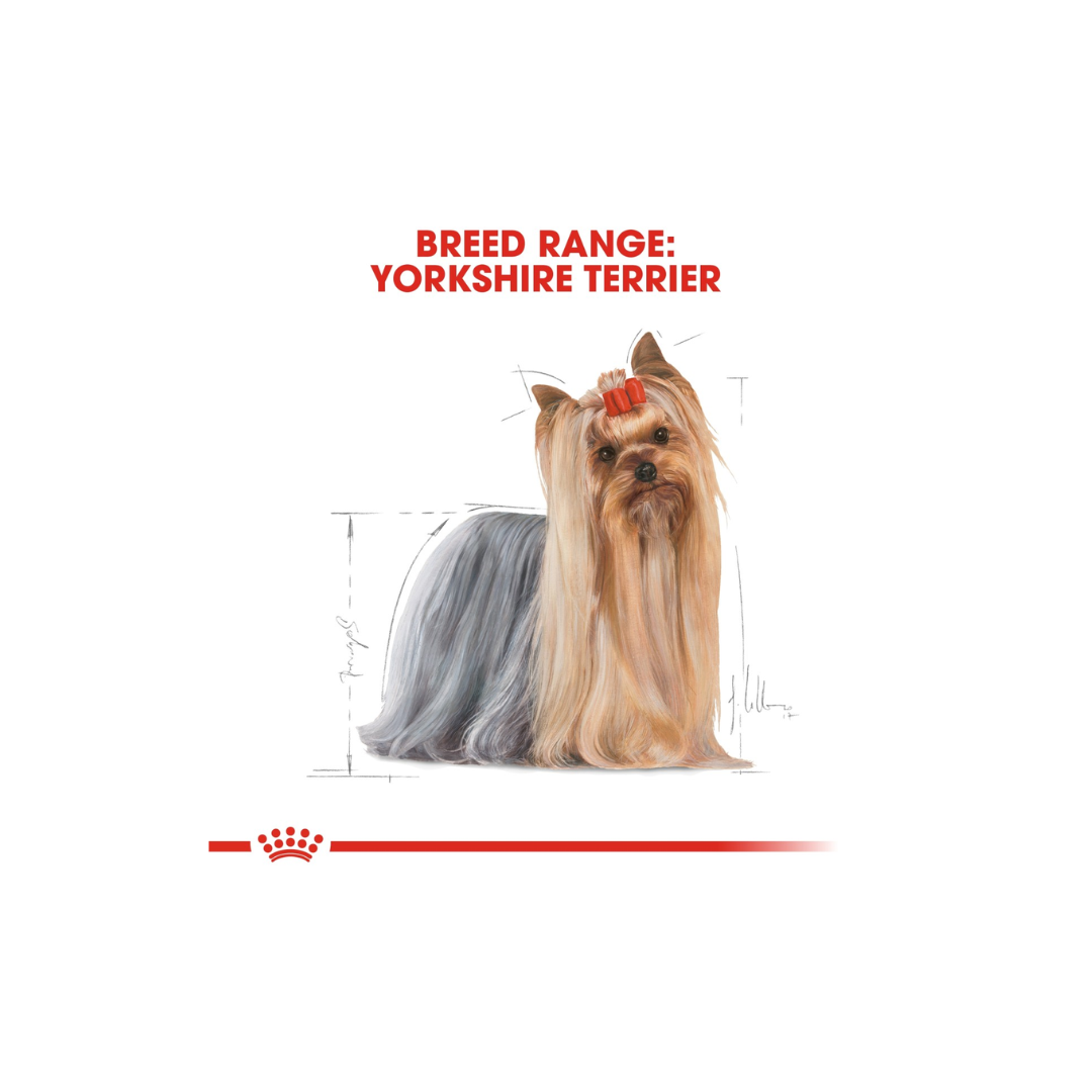 Royal Canin Breed Health Nutrition Yorkshire Adult (WET FOOD)