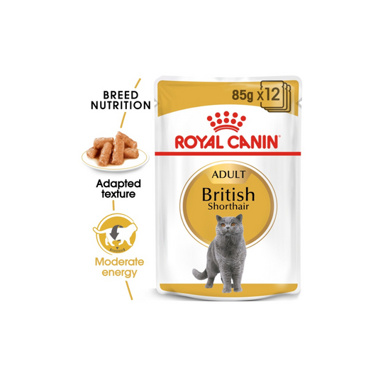 Royal Canin Feline Breed Nutrition British Shorthair (WET FOOD)