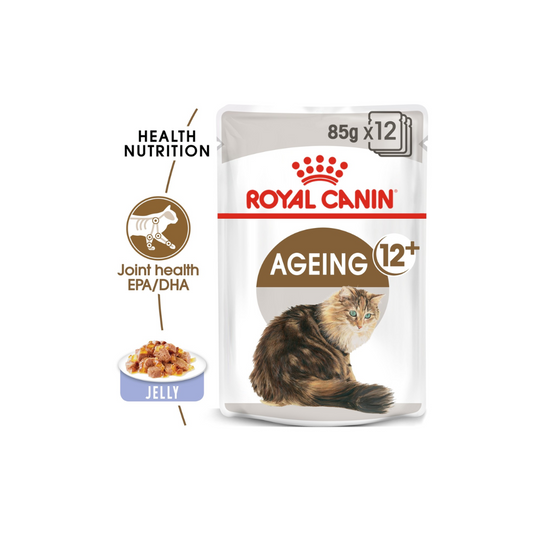 Royal Canin Feline Health Nutrition Ageing 12+ Jelly (WET FOOD)