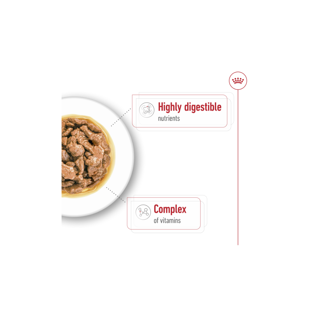 Royal canin Health Nutrition Mini Adult (WET FOOD)