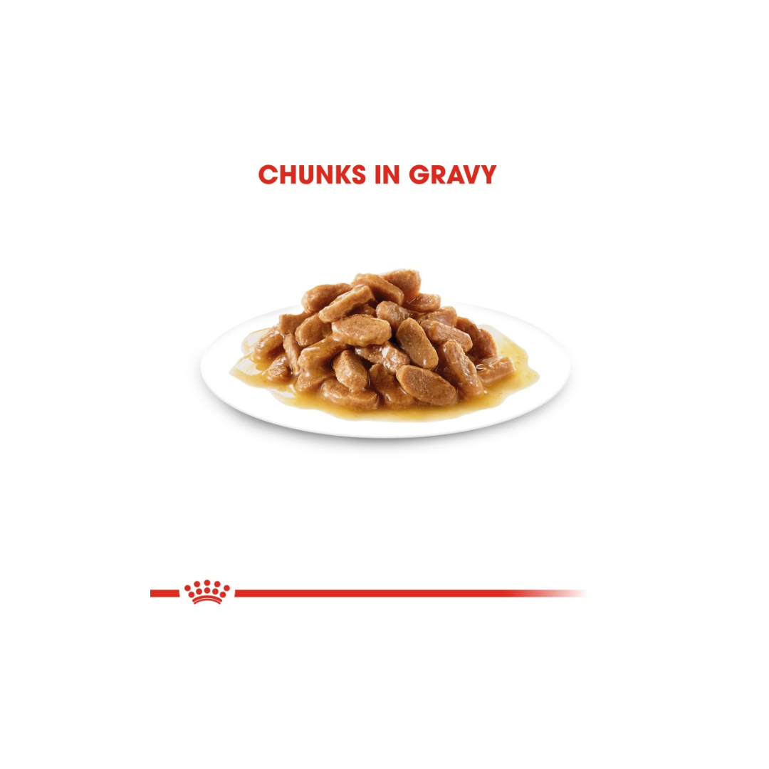 Royal Canin Health Nutrition Medium Puppy (WET FOOD)