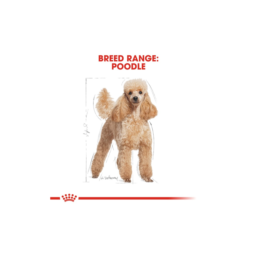 Royal Canin Breed Health Nutrition Poodle Adult (WET FOOD)