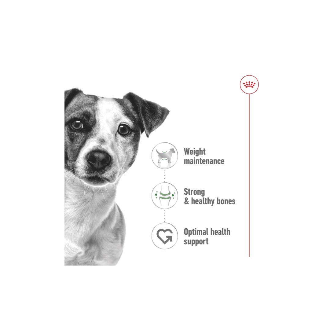 Royal canin Health Nutrition Mini Adult (WET FOOD)
