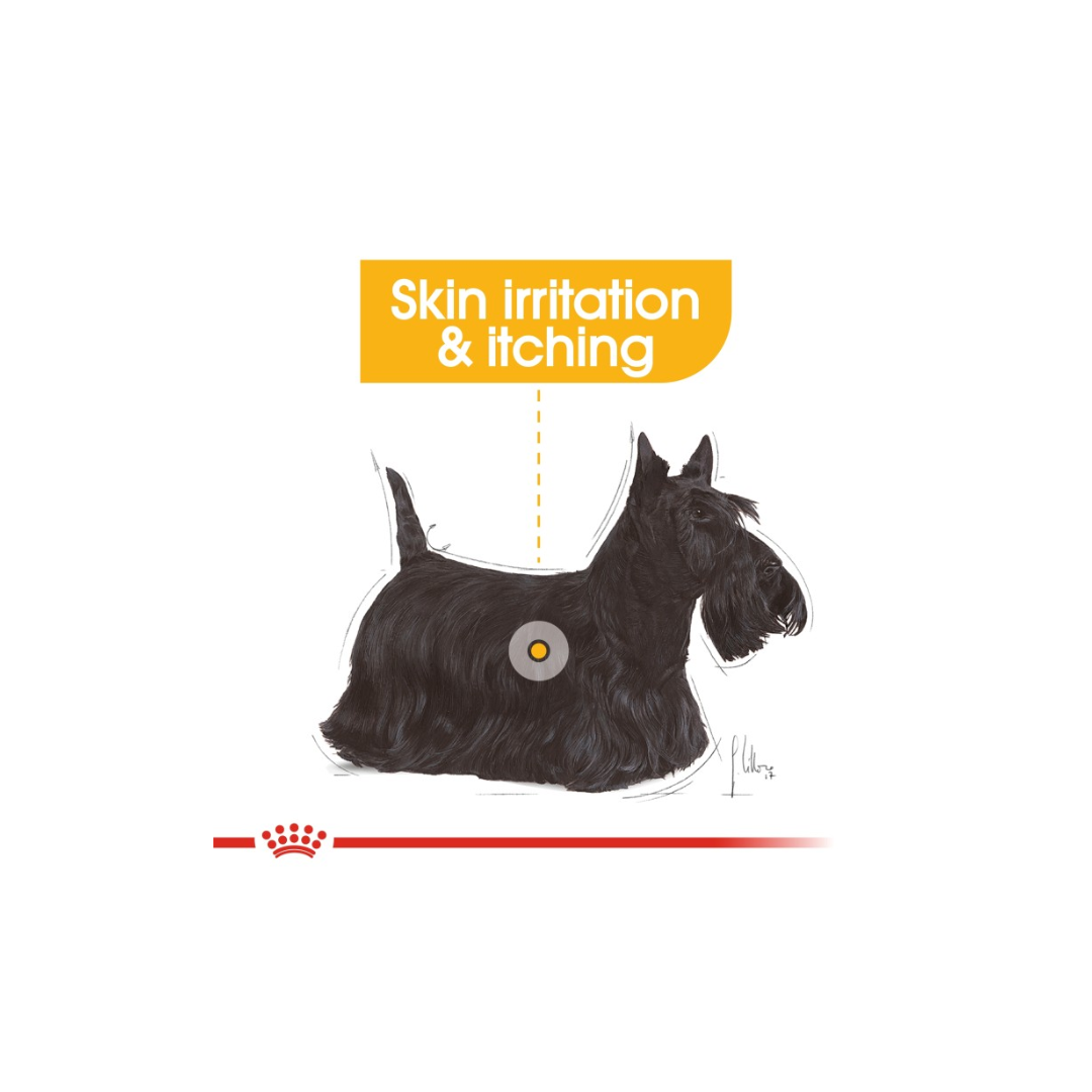 Royal Canin Canine Care Nutrition Dermacomfort (WET FOOD)