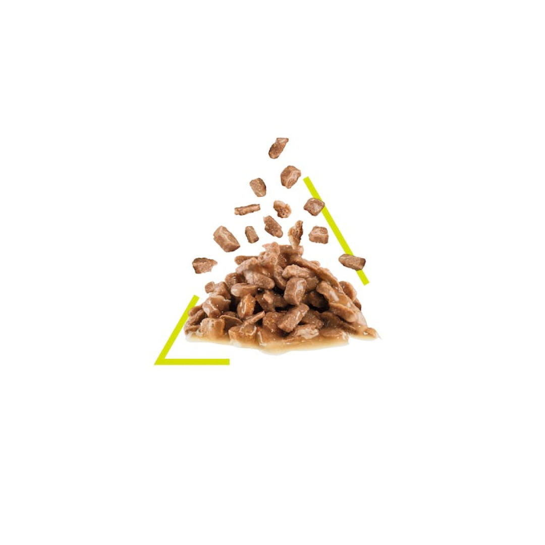 Royal Canin Feline Health Nutrition Sensory Smell Gravy (WET FOOD )